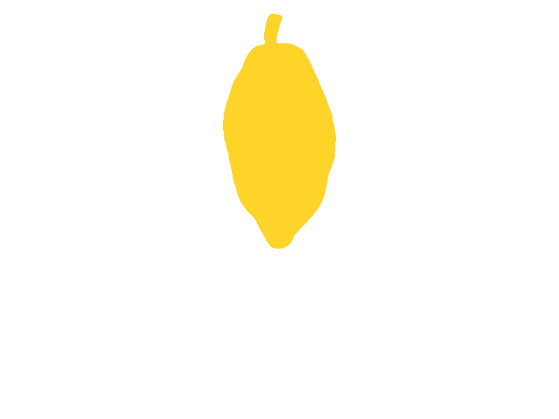 Arariwa - Chocolate & Coffe, Ecuador